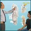 Peel & Stick Dry Erase Anatomical Charts -Fit Clinic Shop 433524 1