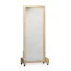Adult Posture Mirrors -Fit Clinic Shop adult posture mirrors single mobile mirror 081368463 1