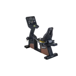 SportsArt C576R Recumbent Cycle