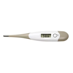 Disposable Thermometers
